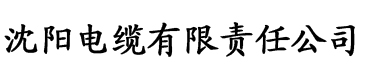 www.亚洲欧美一区二区h电缆厂logo